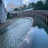 Фото профиля わっくしょい