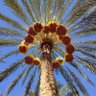 Фото профиля عبدالله الغالي