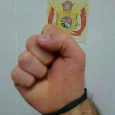 MehrzadAry51364's profile picture
