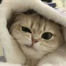 Фото профиля 无语