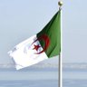 🇩🇿 حمدي محفوظ 🇩🇿's profile picture