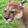 Maria Mercedes's profile picture