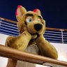Profilbild von 🇭🇲Red Roo- FurDU 25!