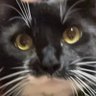 Profilbild von January