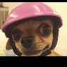 kcct's profile picture
