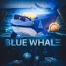 Profilbild von ฿LUE WHALΞ