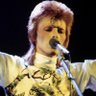 Profilbild von daily david bowie