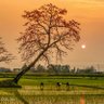 Фото профиля Thanh Trần Ngọc