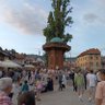 Фото профиля yolcu