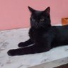 あやたか profil fotoğrafı