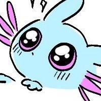 DZKrw_'s profile picture