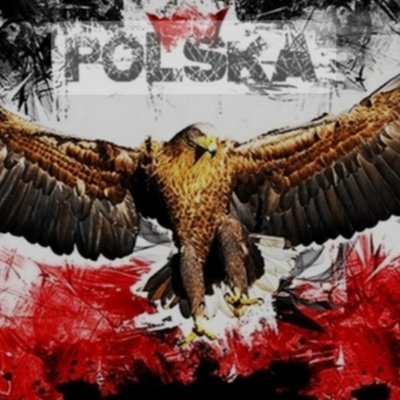 Krzysztof Kot's profile picture