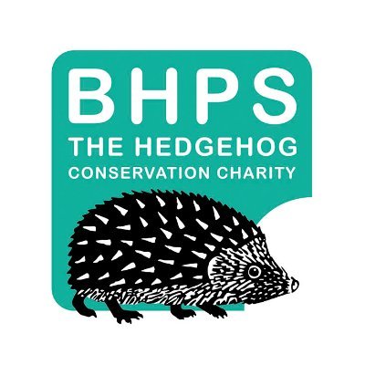 hedgehogsociety's profile picture