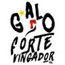 Canal Forte Vingador's profile picture