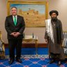 Фото профиля Al Gore Fan