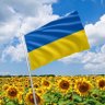 Фото профиля Olga Ukraine