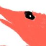 Profilbild von モハラン