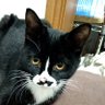 む's profile picture
