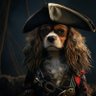 Pirata do Tietê 的头像