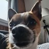 Profilbild von Louis