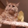 Михаил profil fotoğrafı