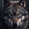 Lone Wolf 的头像