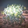 かず's profile picture