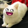cheeto 🍉 profil fotoğrafı