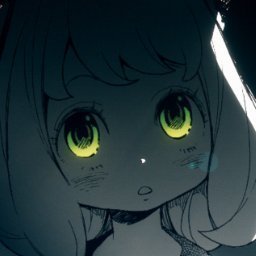 festivity's profile picture