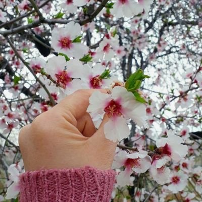 _NesLisah_'s profile picture