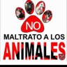 Planeta Tierra 🌎's profile picture
