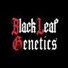 Фото профиля BlackLeafGenetics