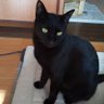 まめ's profile picture