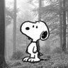 ben's profile picture