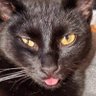 Leonidas's profile picture