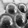 Фото профиля DustyMagneticPinballs