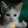 Profilbild von LUIS_7. 72