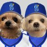 Profilbild von じん_De⚾︎🏟