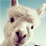 LANGKEXED's profile picture