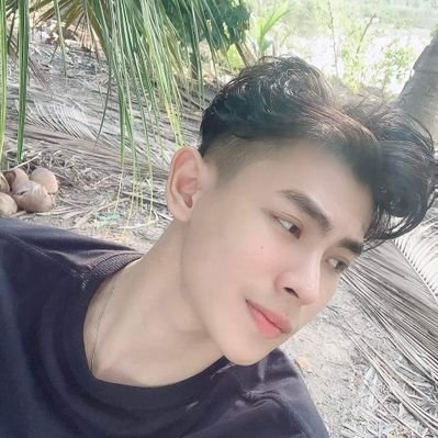 Fox 🦊's profile picture