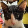 B.B. profil fotoğrafı
