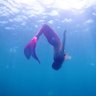 Mermaid Ran 的头像