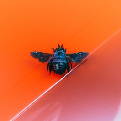 London Grammar's profile picture