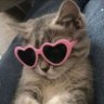 LafdeBaaz Billa's profile picture