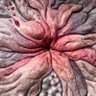 Juzzed's profile picture