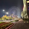 Profilbild von 包养找小糯（全国学生资源）对接