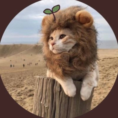 Luna🧚♂️🌕's profile picture