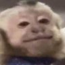 Fico profil fotoğrafı