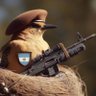 Martín Risso's profile picture