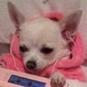 Profilbild von Bea
